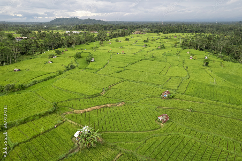 Aerial view of rice fields nearby Goa Giri Campuhan waterfall on cloudy day. Tembuku, Bali, Indonesia. Aerial view of rice fields nearby Goa Giri Campuhan waterfall on cloudy day. Tembuku, Bali, Indonesia.