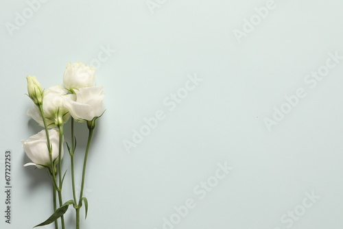 bouquet of white flowers © Sunlight