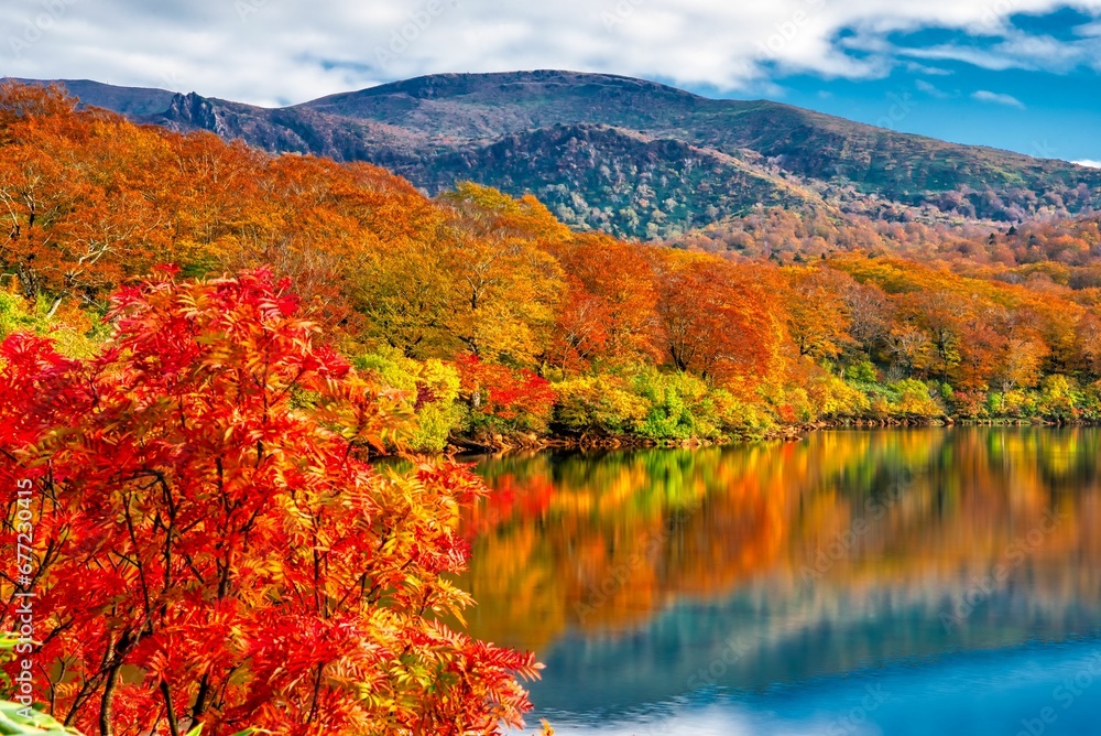 Beautiful view of a lake surrounded by colorful trees in autumn.