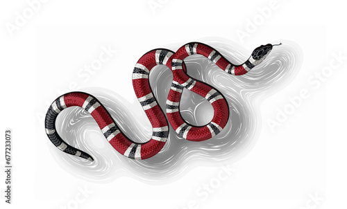 snake with a scaring color, poisonous