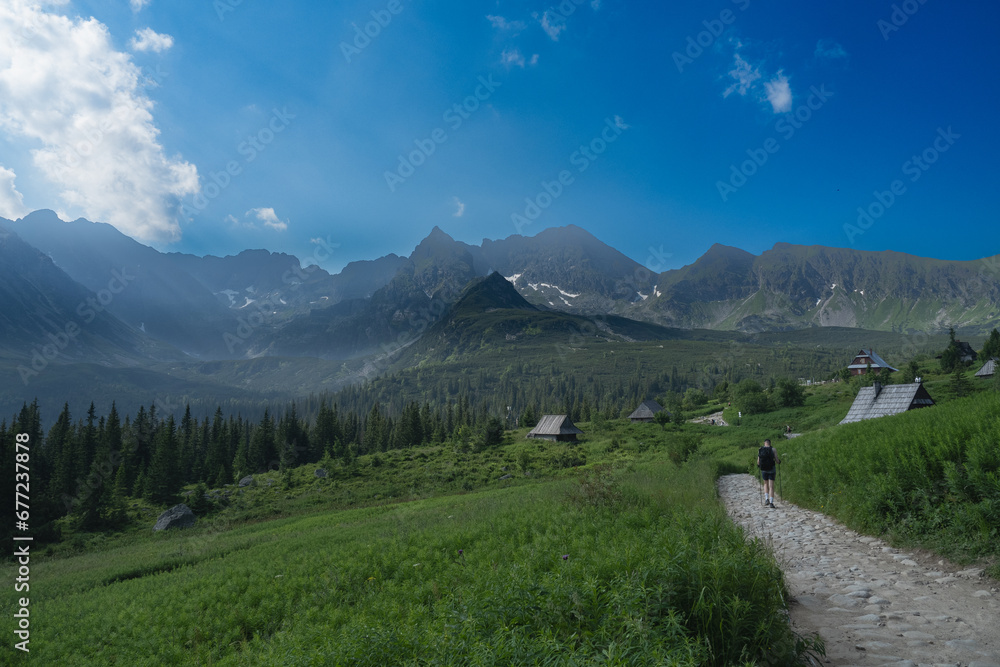 view of the Gąsienicowa Valley in the High Tatras