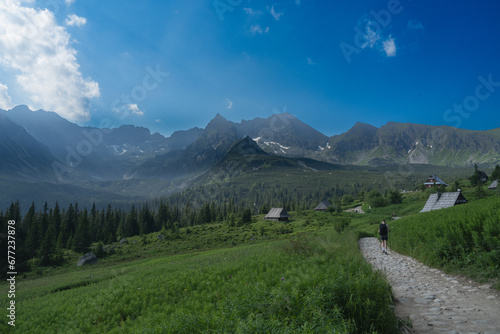 Obraz na płótnie view of the Gąsienicowa Valley in the High Tatras w salonie