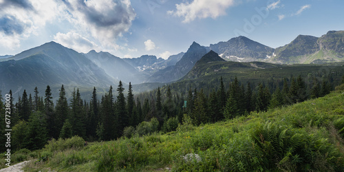 Obraz na płótnie view of the Gąsienicowa Valley in the High Tatras w salonie