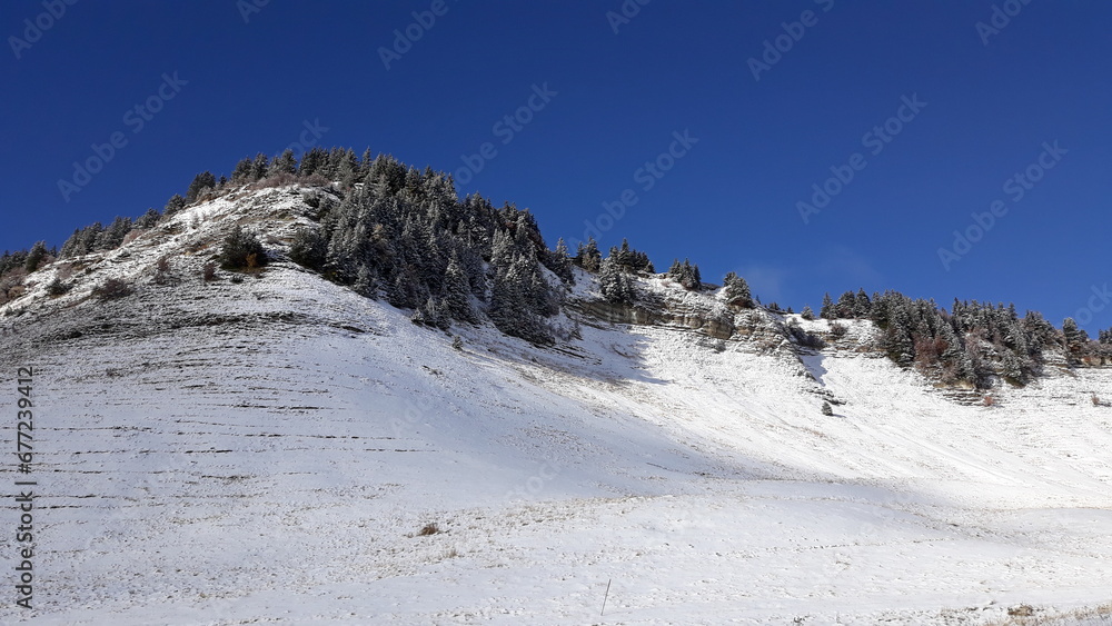 Randonnée le 11/11/2023 dans le Vercors avec les premières neiges, sur le plateau de la Molière, France Randonnée le 11/11/2023 dans le Vercors avec les premières neiges, sur le plateau de la Molière, France