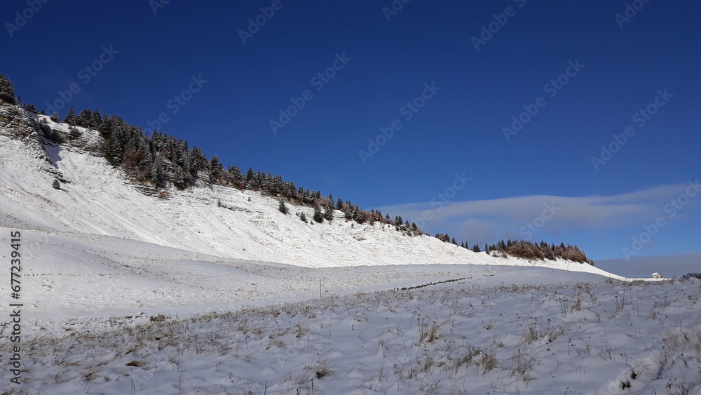 Randonnée le 11/11/2023 dans le Vercors avec les premières neiges, sur le plateau de la Molière, France