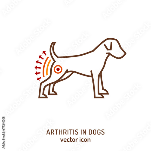 Arthritis, osteoarthritis in dogs. Common disease. Veterinarian sign, icon