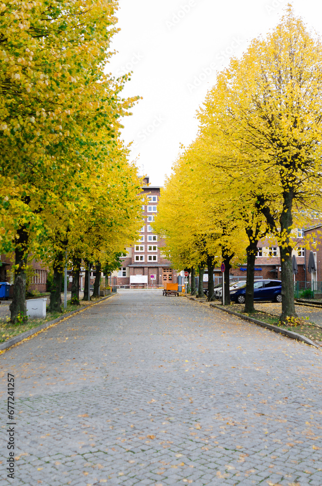 Autumn in Berlin