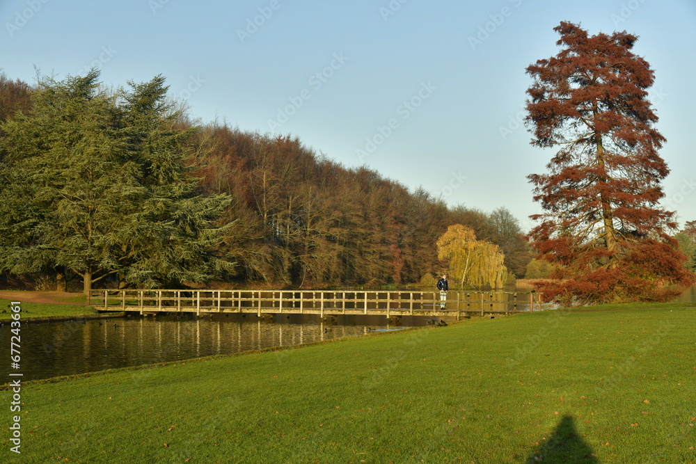 Obraz premium L'arbre au feuillage pourpre sous la lumière du coucher de soleil en fin d'automne au parc de Tervuren à l'est de Bruxelles 