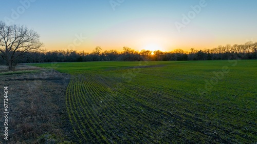 Green field at sunset with a blue sky in the background in Dallas    Texas  the United States