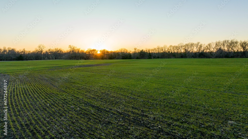 Green field at sunset with a blue sky in the background in Dallas,   Texas, the United States