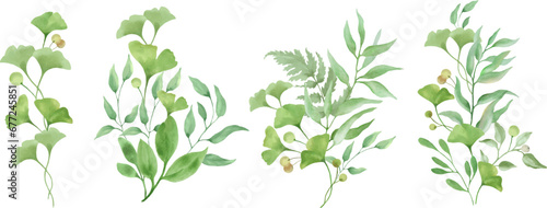 Watercolor floral set with ginkgo biloba. Hand drawn illustration isolated on white background. Vector EPS.