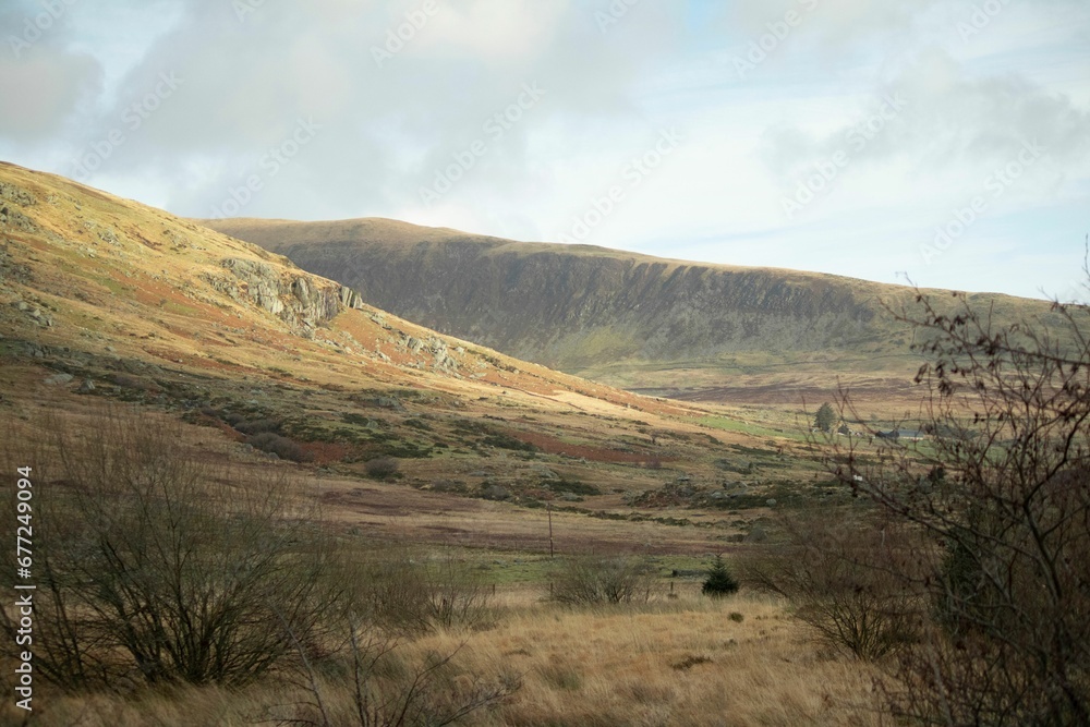 Snowdonia landscape of green hills with wild plants in Wales with blue sky