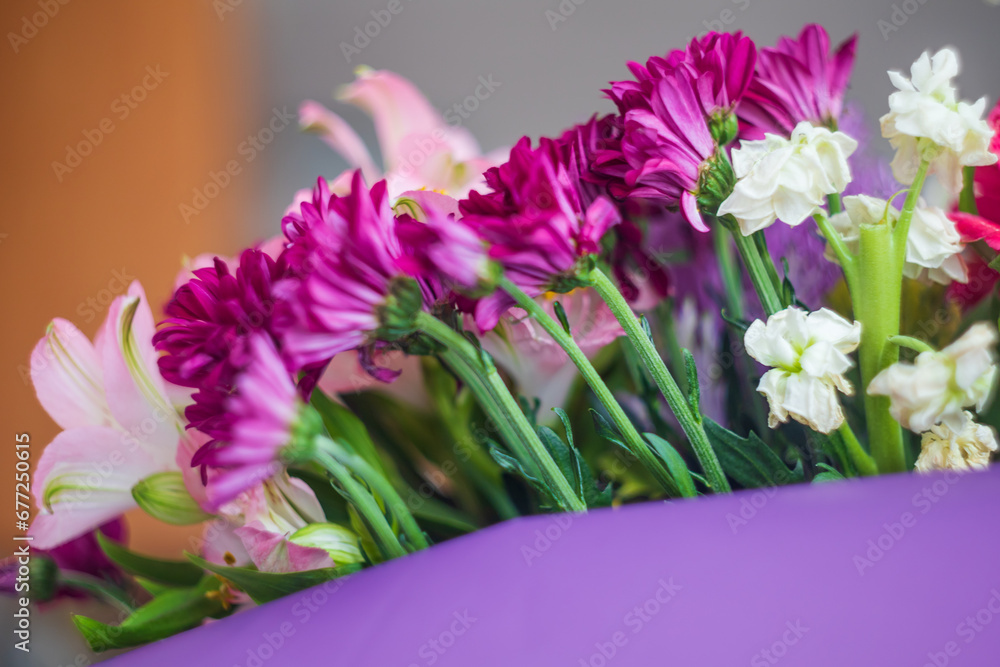 A large colorful bouquet of cut flowers. Test shooting with an old manual lens.