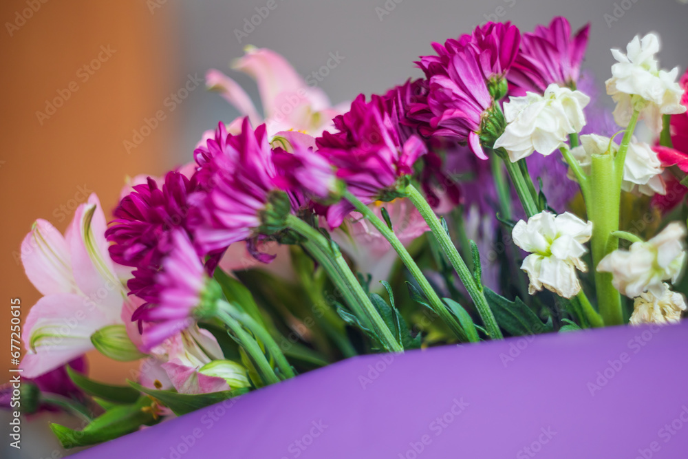 A large colorful bouquet of cut flowers. Test shooting with an old manual lens. A large colorful bouquet of cut flowers. Test shooting with an old manual lens.