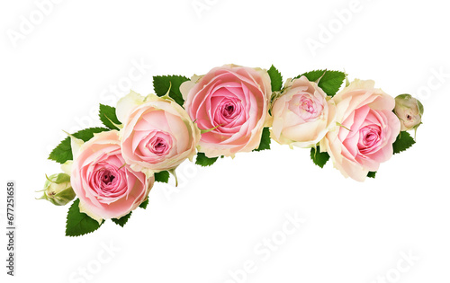Small pink rose flowers in a floral arrangement isolated on white or transparent background photo