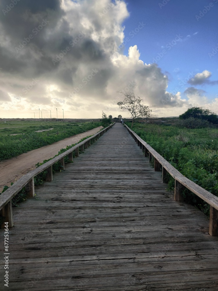 Vertical shot of a wooden path going through an open field seen during the afternoon