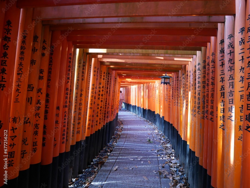 Beautiful view of Fushimi Inari Shrine in Kyoto in Japan Beautiful view of Fushimi Inari Shrine in Kyoto in Japan