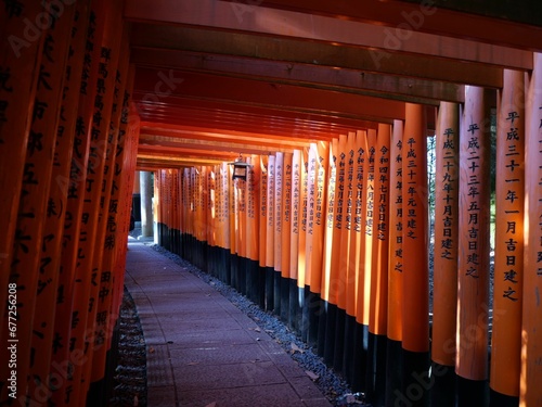 Beautiful view of Fushimi Inari Shrine in Kyoto in Japan