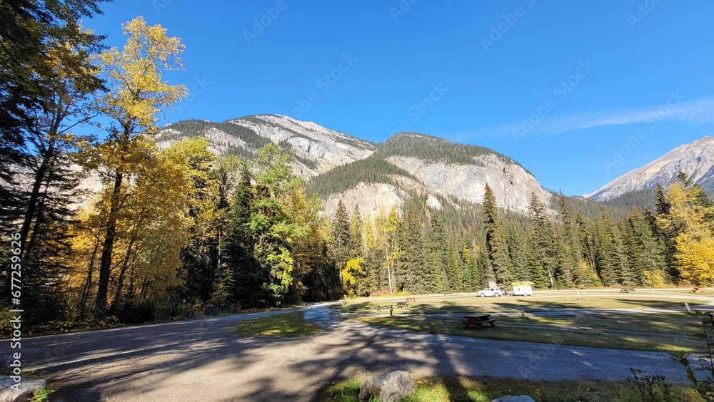 Landscape view of the fir forest trees and mountains against a blue sky