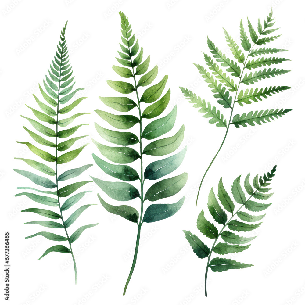 Green Leaves Botanical Watercolor Painting Illustration