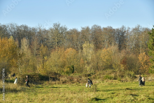 L'une des prairies à végétation sauvage en forêt de Soignes à Groenendael  photo