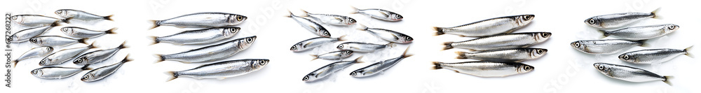 Fresh sardines, white background. Omega 3 food. Omega-3 fish oil concept. Set of freshly caught silver fish, showcasing the natural source of omega-3 for a balanced diet and healthy nutrition. Fresh sardines, white background. Omega 3 food. Omega-3 fish oil concept. Set of freshly caught silver fish, showcasing the natural source of omega-3 for a balanced diet and healthy nutrition.