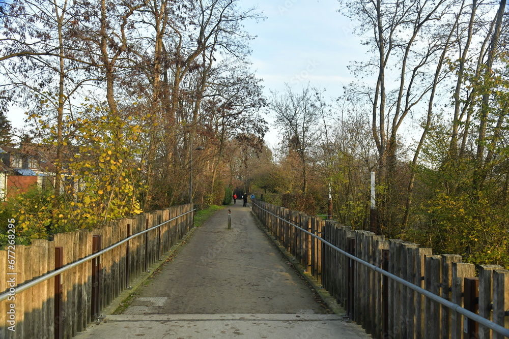 Promenade sur l'une des passerelles de la Ceinture Verte en fin de journée d'automne à Auderghem 