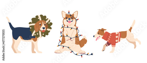 Cheerful Christmas Corgi, Jack Russel and Beagle Dogs Wearing Cozy Sweater, Wreath and Wrapped in Garland