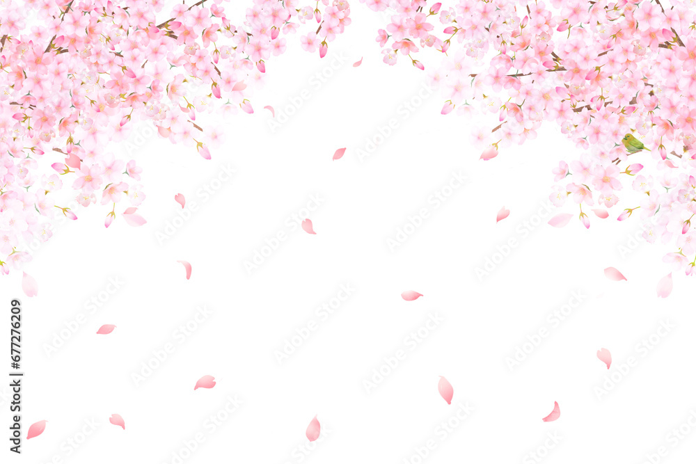 美しい薄いピンク色の桜の花と花びら春の水彩白バックフレーム背景素材イラスト