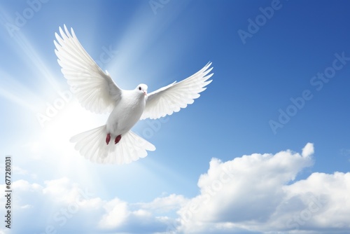 white pigeon flying with open wings against the blue sky. the concept of freedom and peace