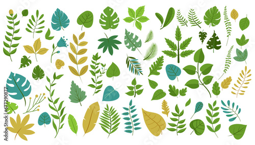 Leaves graphic elements - Vector illustration of various leaf shapes in different green and orange colours. Flat design on white background