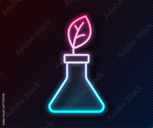 Glowing neon line Plant breeding icon isolated on black background. Plants growing in the test tubes. Organic food ,agriculture and hydroponic. Vector