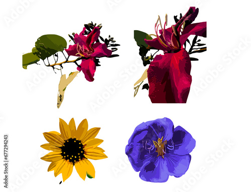 set of flowers