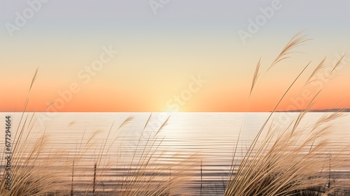 grassy area deep sunset background transparent dunes young scenery offshore winds immensity serene illustration soon dawn warm spring relaxing calm ocean