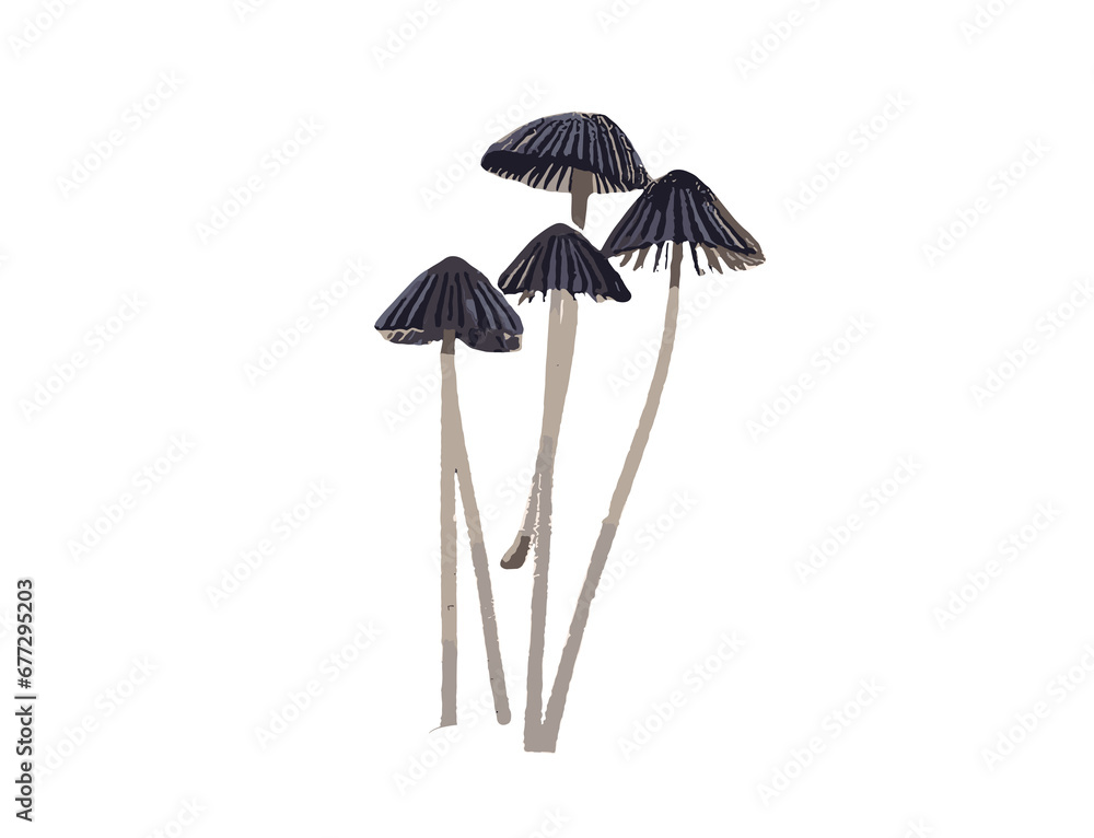 Mushroom isolated white background png file 