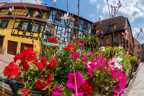 Fototapeta Naklejka Na Ścianę i Meble -  the colorful half timbered building in the streets of the beautiful Alsace village Riquewihr