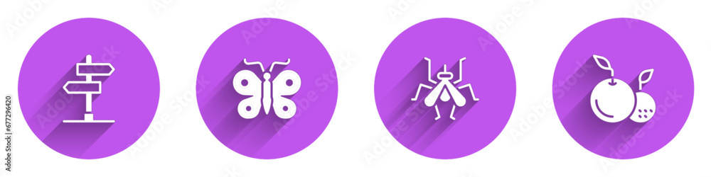 Set Road traffic sign, Butterfly, Mosquito and Fruit icon with long shadow. Vector Set Road traffic sign, Butterfly, Mosquito and Fruit icon with long shadow. Vector
