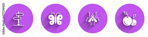 Set Road traffic sign, Butterfly, Mosquito and Fruit icon with long shadow. Vector