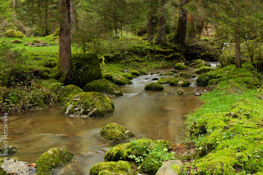 Obraz premium Wildbach im Allgäu.