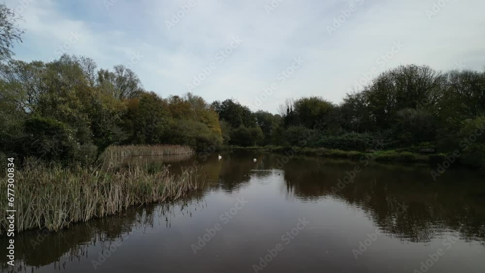 Paignton, Torbay, South Devon, England: DRONE VIEWS: Low angle shows various birds on Clennon Lakes including swans and coots. Torbay is a UK holiday resort with multiple tourist attractions (Clip 3). Paignton, Torbay, South Devon, England: DRONE VIEWS: Low angle shows various birds on Clennon Lakes including swans and coots. Torbay is a UK holiday resort with multiple tourist attractions (Clip 3).