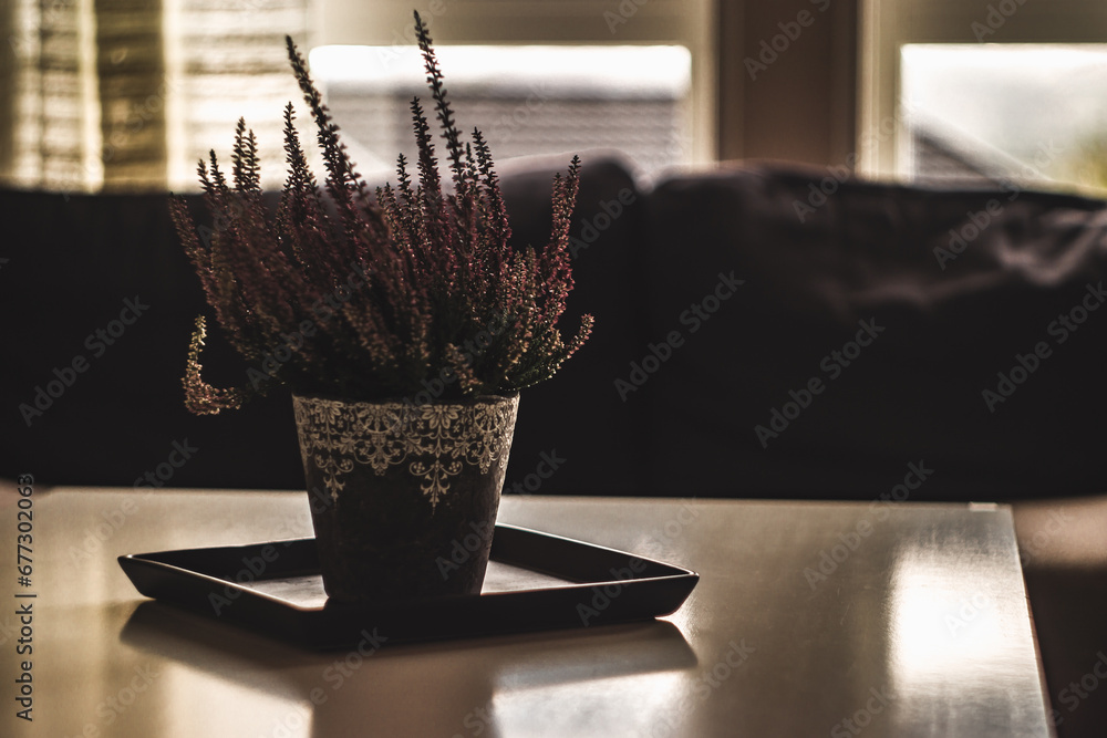 Elegant Indoor Greenery: Potted Plant on the Table