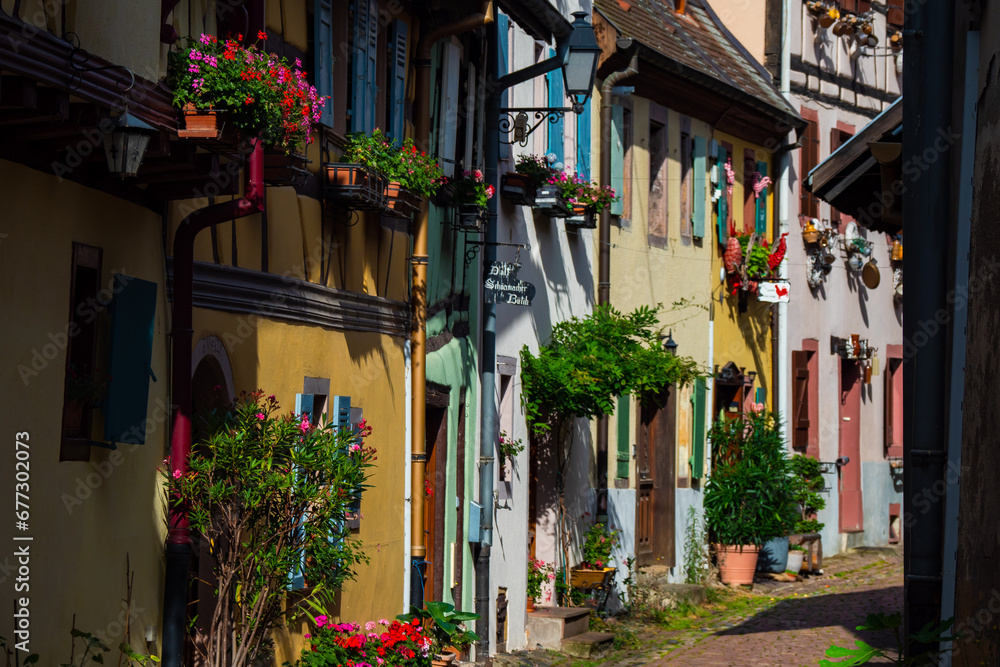 The beautiful colorful half timbered houses of  Alsace village Equisheim -  France 