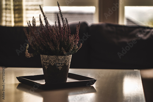 Obraz na płótnie Elegant Indoor Greenery: Potted Plant on the Table w salonie