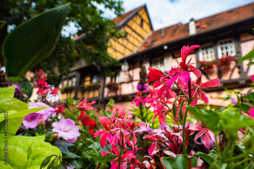 The colors of Alsace during Springtime - French fairytale village with spring flowers photo