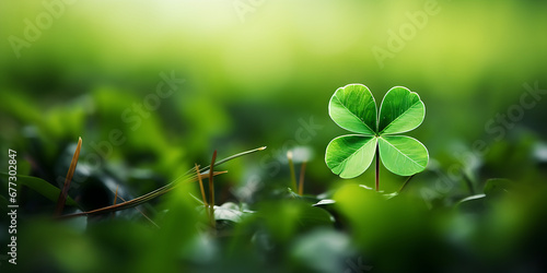 Four leaf clover luckyon sunshine background st patrick's day backdrop, Green background with threeleaved shamrocks lucky irish four leaf clover in the field for st patricks day holiday symbol photo