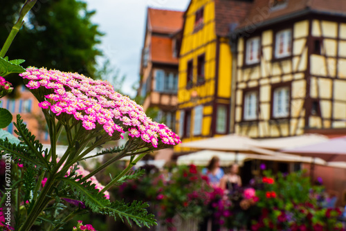 The colors of Alsace during Springtime - French fairytale village with spring flowers © Mike Workman