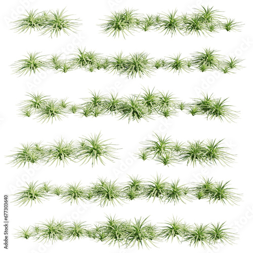 set of agave plants, 3d rendering with transparent background, best for 3d visualization & digital composition photo