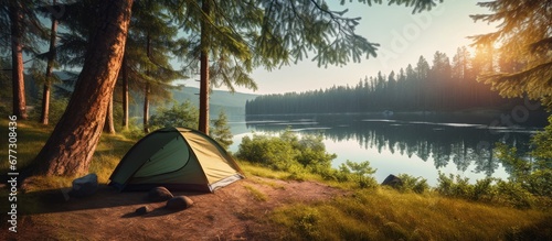 Fototapeta Naklejka Na Ścianę i Meble -  Camping under pine trees near a sunny lake in the morning Copy space image Place for adding text or design