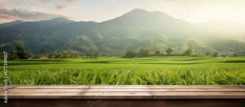 Brown wooden shelf with blurred green rice field farm mountain and hut background Copy space image Place for adding text or design photo