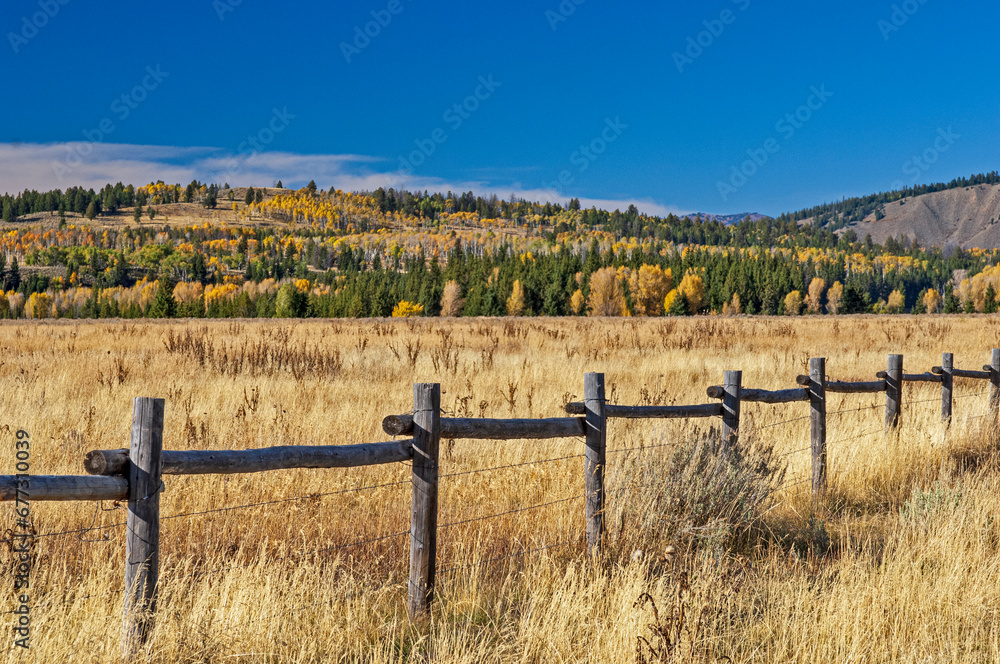 Wyoming Fence Line Bordering a Field Lined with Trees Wyoming Fence Line Bordering a Field Lined with Trees